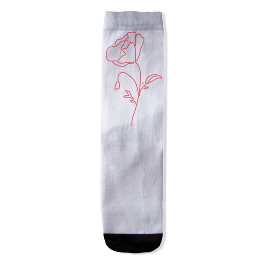 Socks-AOP-20250420190657101